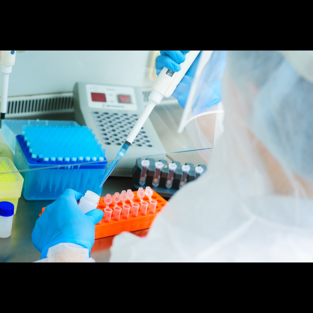 Feline Panleukopenia Virus One Step PCR Kit size: 50 reactions